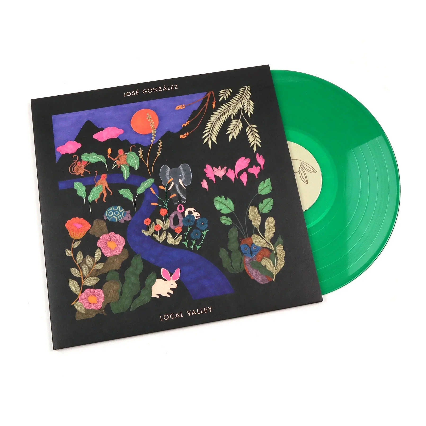 José González - Local Valley - Image 3