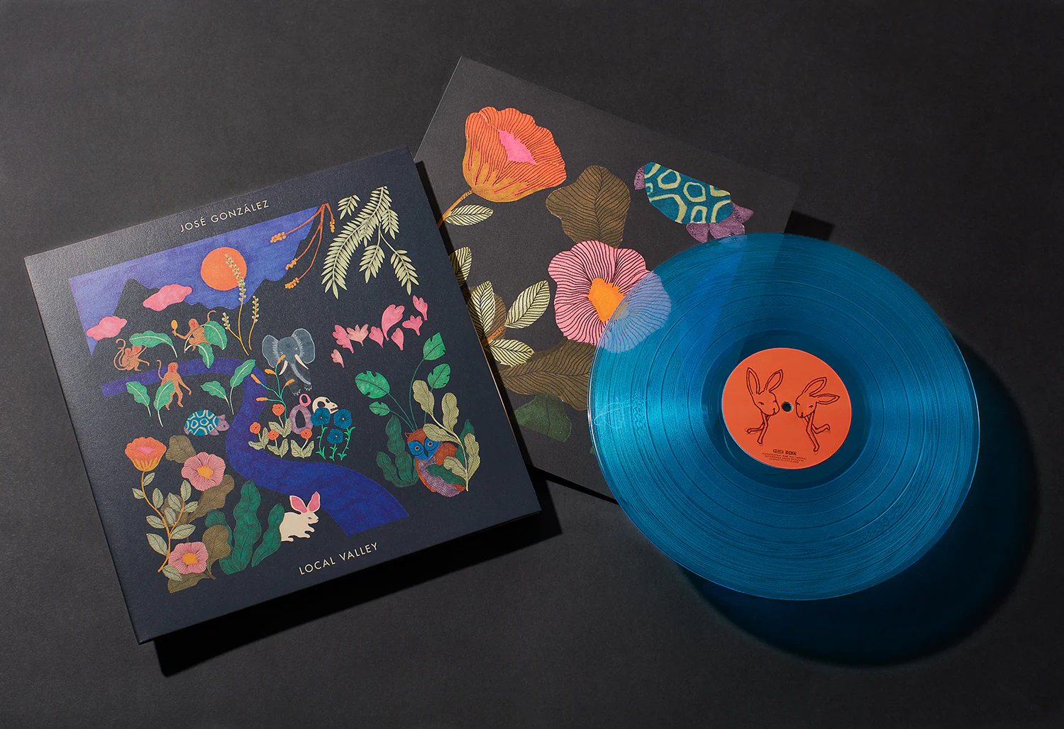 José González - Local Valley - Image 4