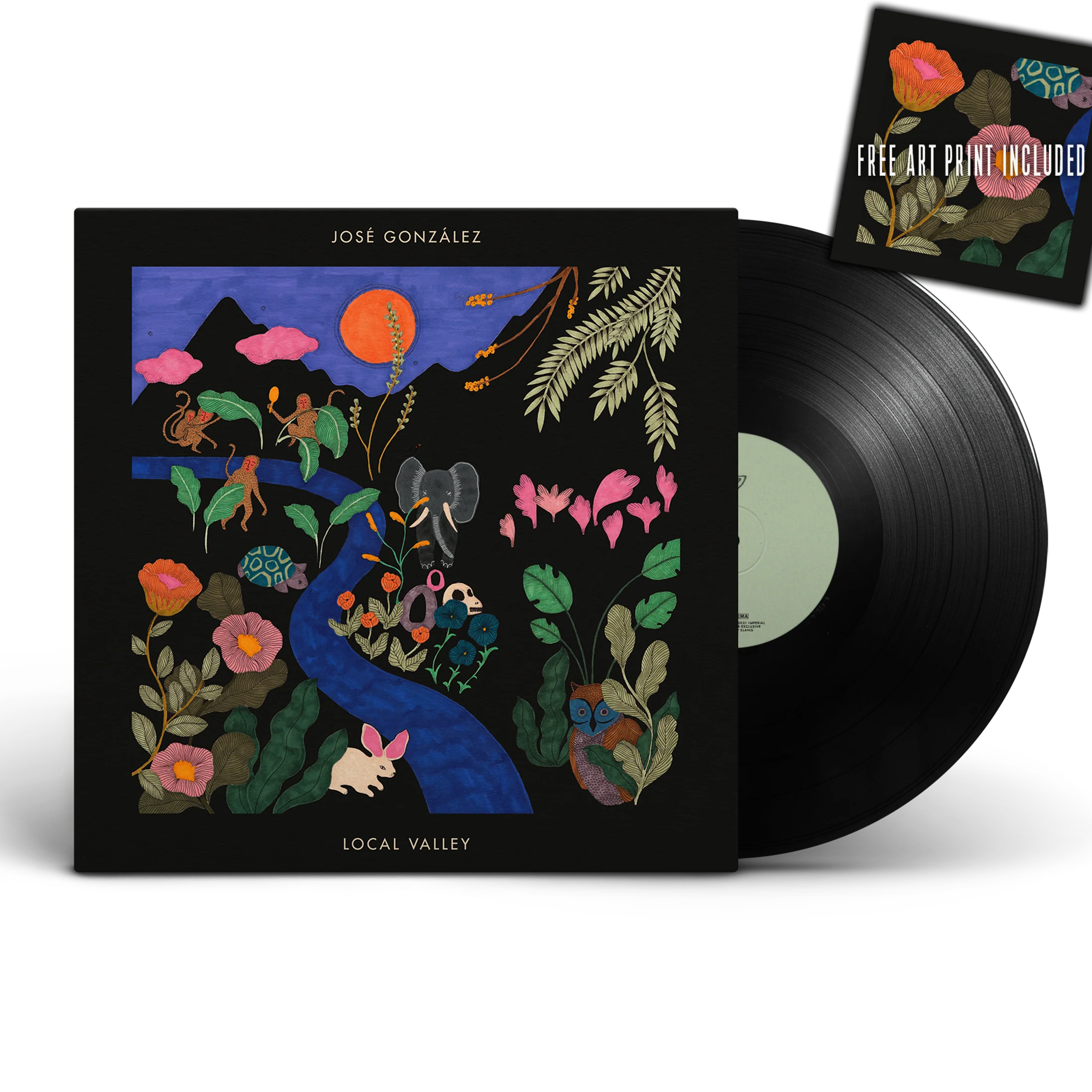 José González - Local Valley - Image 5
